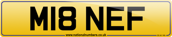 M18 NEF
