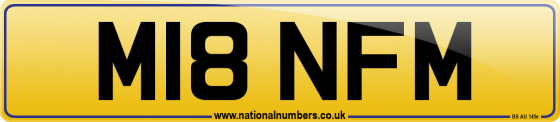 M18 NFM