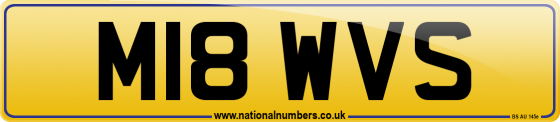M18 WVS