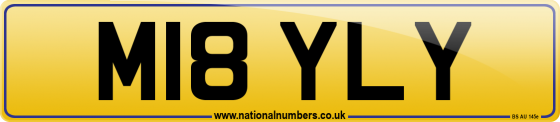 M18 YLY