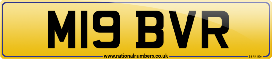 M19 BVR