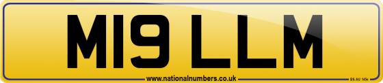 M19 LLM
