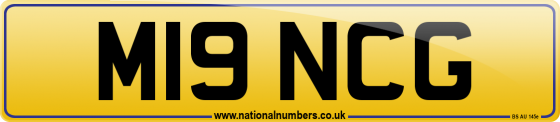 M19 NCG