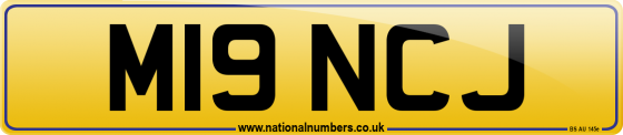 M19 NCJ