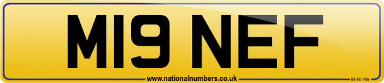 M19 NEF