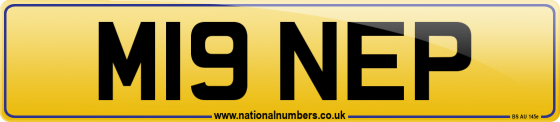 M19 NEP