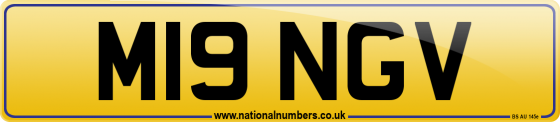 M19 NGV