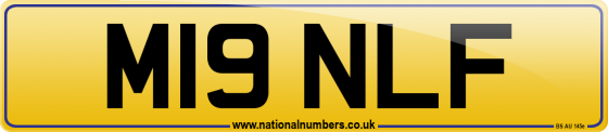 M19 NLF