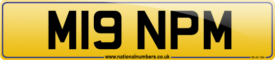 M19 NPM