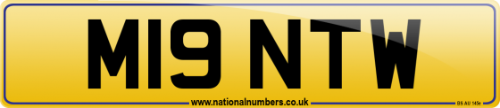 M19 NTW