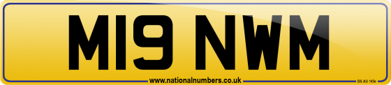M19 NWM