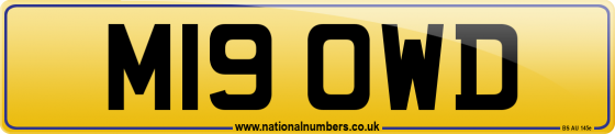 M19 OWD