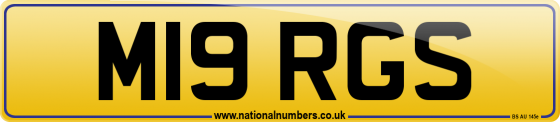 M19 RGS