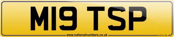 M19 TSP