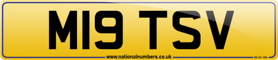 M19 TSV