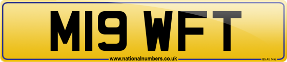 M19 WFT