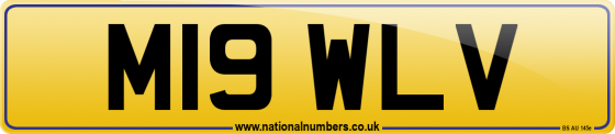 M19 WLV