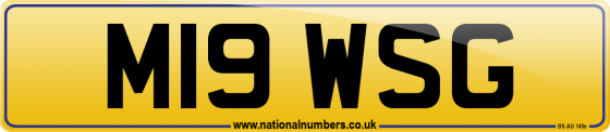 M19 WSG
