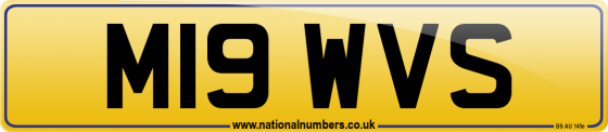 M19 WVS