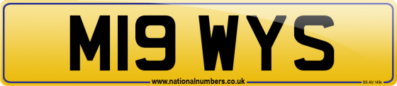 M19 WYS