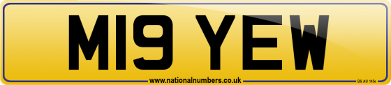 M19 YEW