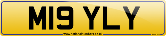 M19 YLY