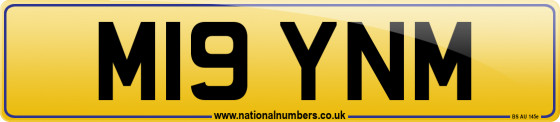 M19 YNM