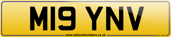 M19 YNV