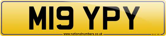 M19 YPY