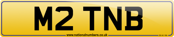 M2 TNB