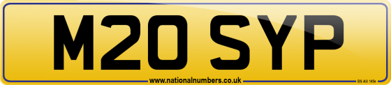 M20 SYP