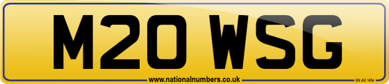 M20 WSG