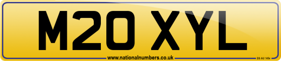 M20 XYL