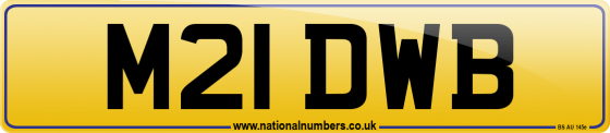 M21 DWB
