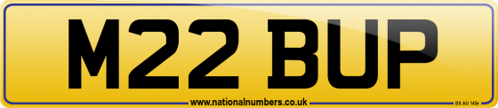 M22 BUP