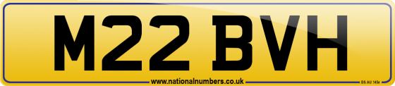 M22 BVH
