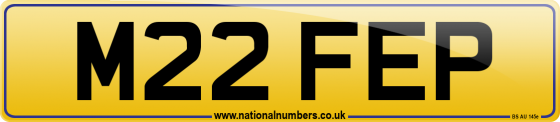 M22 FEP