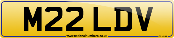 M22 LDV