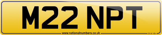 M22 NPT