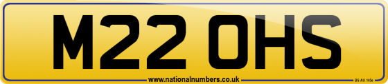 M22 OHS