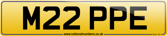 M22 PPE