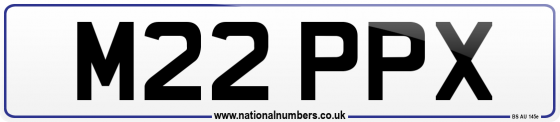 M22 PPX