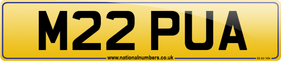 M22 PUA