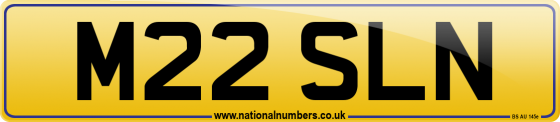 M22 SLN
