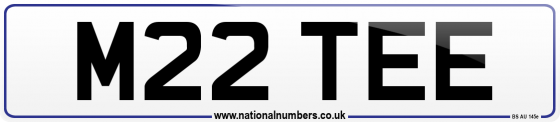 M22 TEE