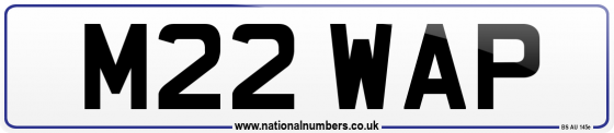 M22 WAP