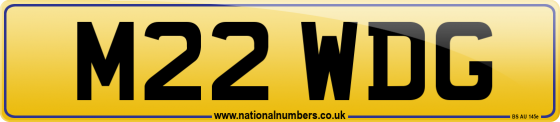 M22 WDG