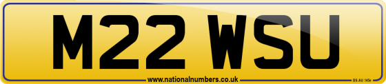 M22 WSU