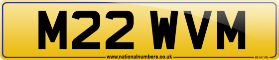 M22 WVM