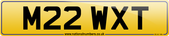 M22 WXT